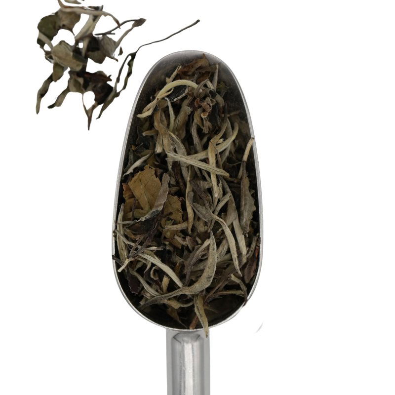Pai Mu Tan Schaufel