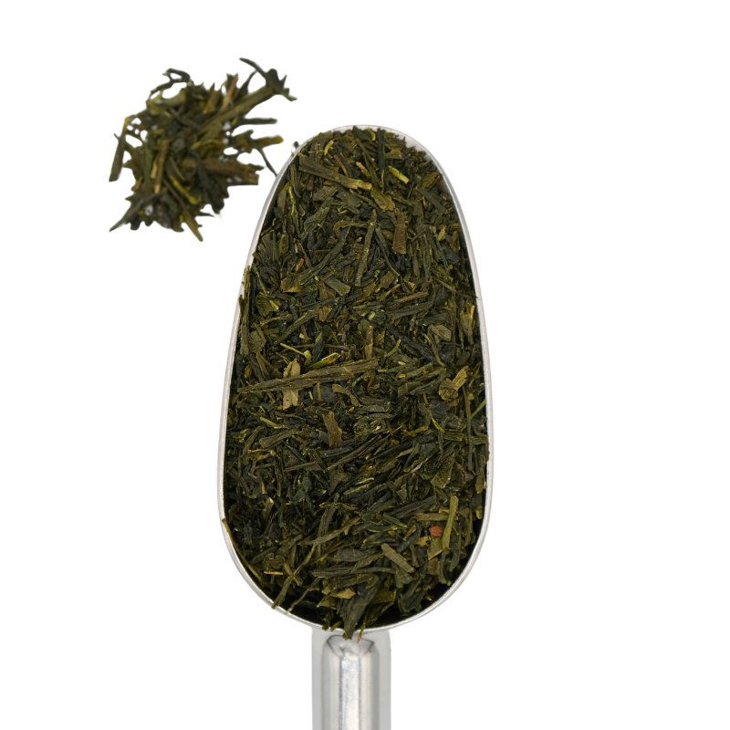 Japan Bancha Schaufel
