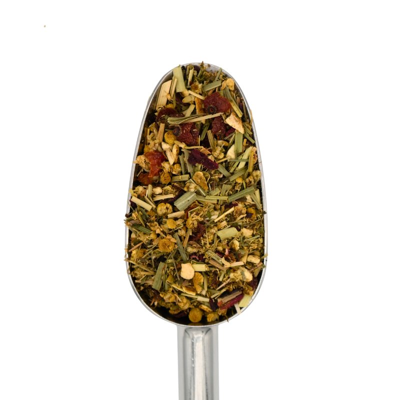 Donna Kamilla Schaufel