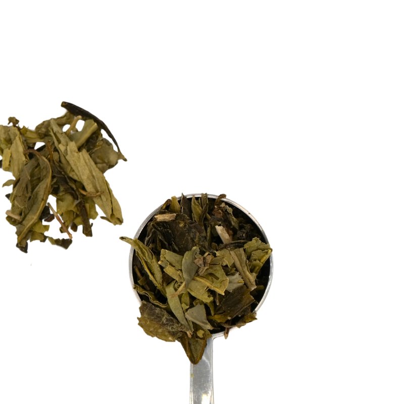 Sencha entkoff. Loeffel